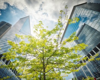 Positieve ervaringen met het extern onafhankelijk assessment Positieve ervaringen met het extern onafhankelijk assessment